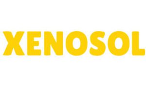 Xenosol